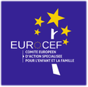 Webinar - Role and impact of civil society in social work and participatory democracy in Europe